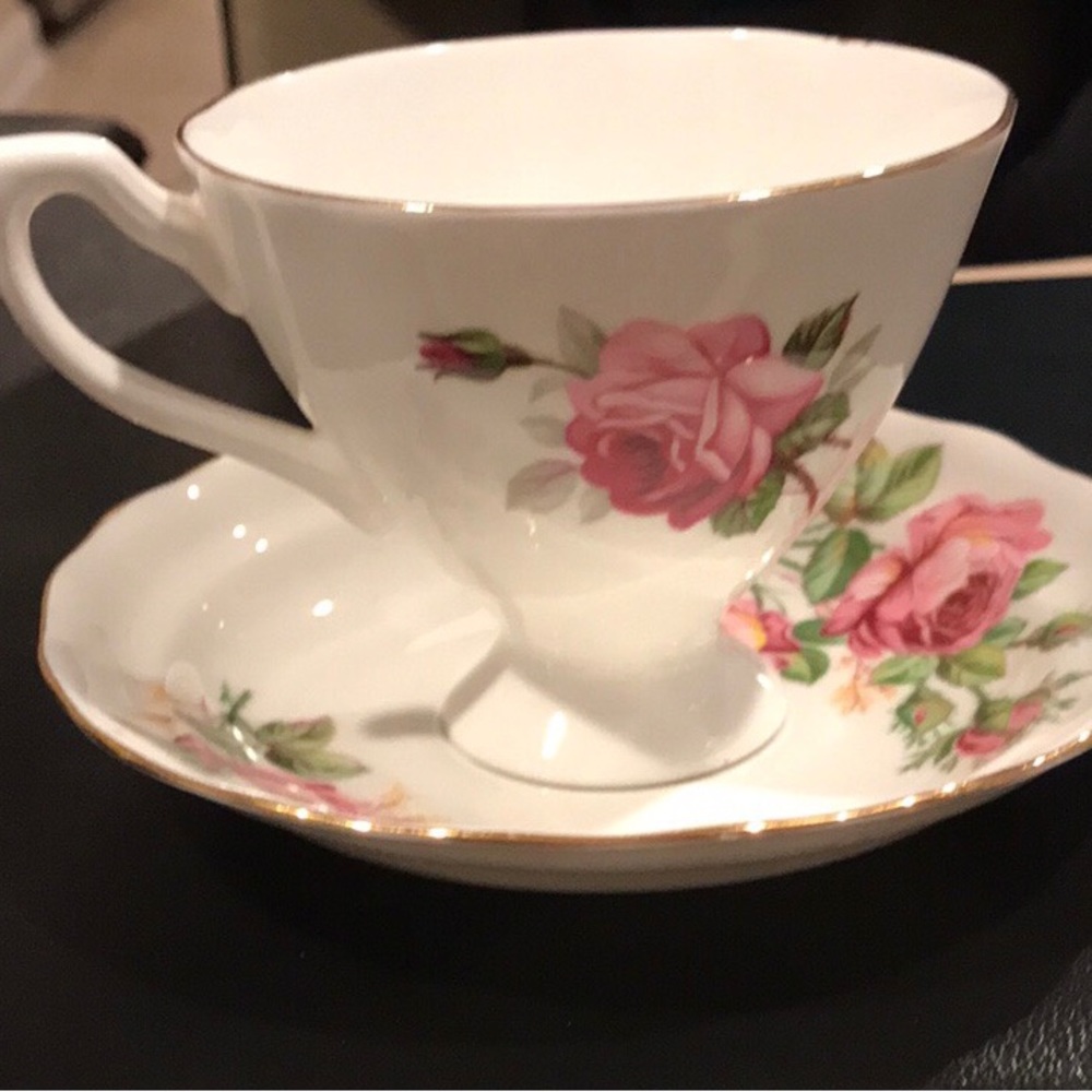 Velvet Rose Bone China Tea Cup & Saucer Set W/Gold Trim & Handle